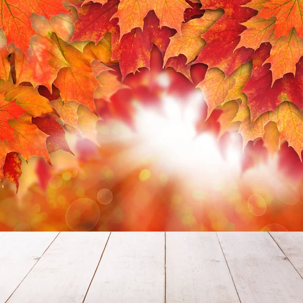 赤い秋のカエデの葉と抽象的な太陽と秋の背景 — ストック写真