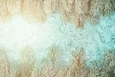 Karlı köknar dalı ile kış penceresi, don ve soğuk güneş ışığı. 