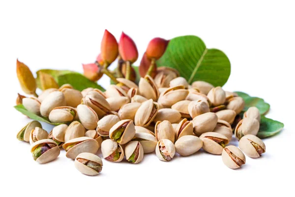 Raw Red pistachio nuts with green leaves on white background — Stock Photo, Image