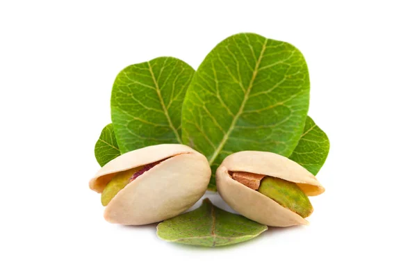 Several Tasty pistachio nuts with leaves isolated on white — Stock Photo, Image