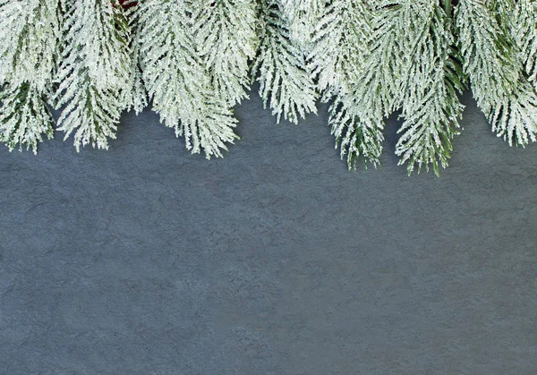 Fondo oscuro de Navidad con rama de abeto verde invierno en negro — Foto de Stock