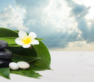 Çiçek, yaprak ve masaj terapisi için taşlar. Spa sağlıklı konsept