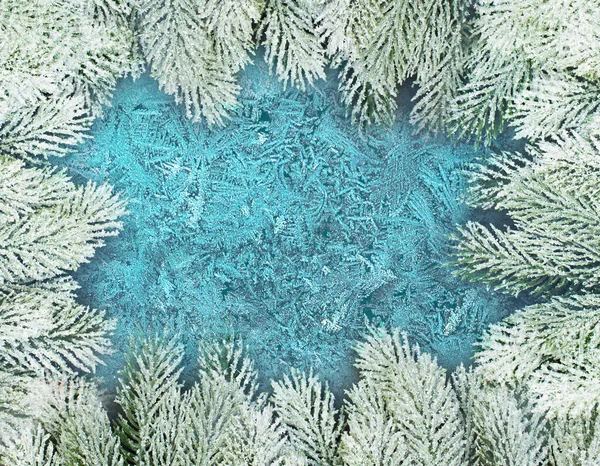 Kerst samenstelling achtergrond. Winter venster met groene FIR tak — Stockfoto
