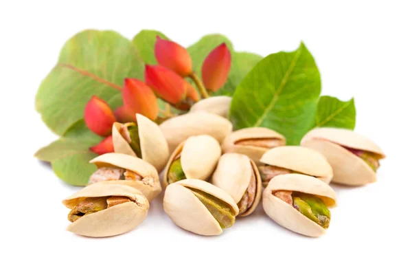 Red pistachio nuts with leaves on white background — Stock Photo, Image