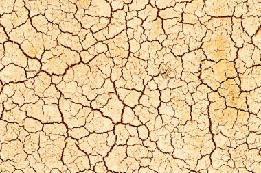 Grung yüzeyinde çatlaklar. Sıcak iklim 