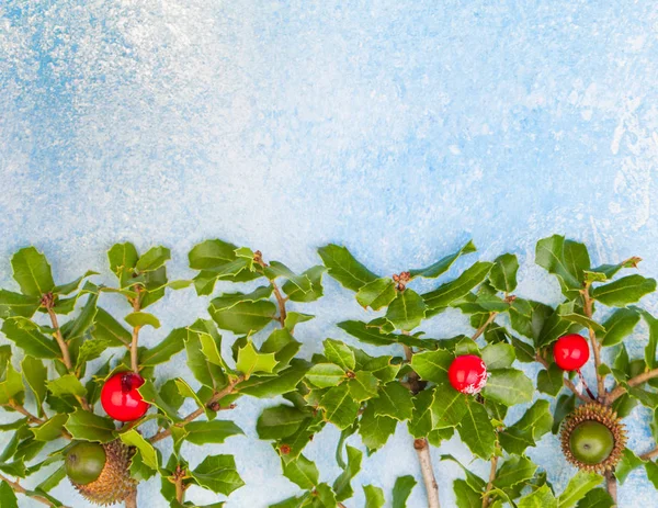 Bordure de fond de Noël avec des feuilles de houx et des baies — Photo