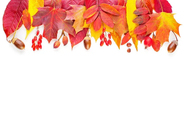 Batas dekorasi musim gugur. Dedaunan jatuh terisolasi di latar belakang putih — Stok Foto