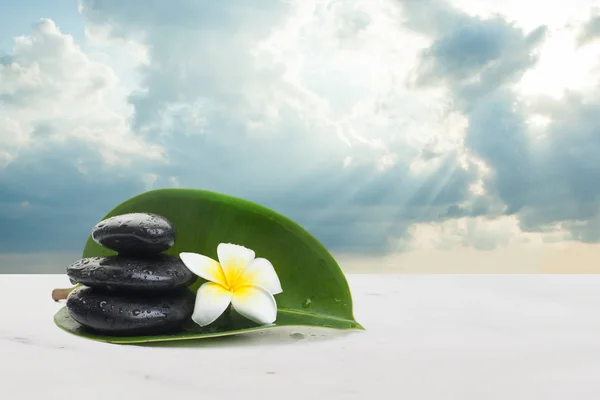 Piedras y flores con grandes hojas sobre fondo blanco . — Foto de Stock