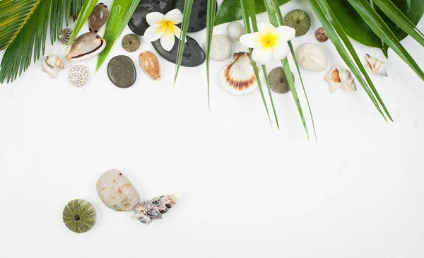 Conceito de spa sobre fundo branco, folhas de palmeira, flores tropicais e zen como pedras — Fotografia de Stock