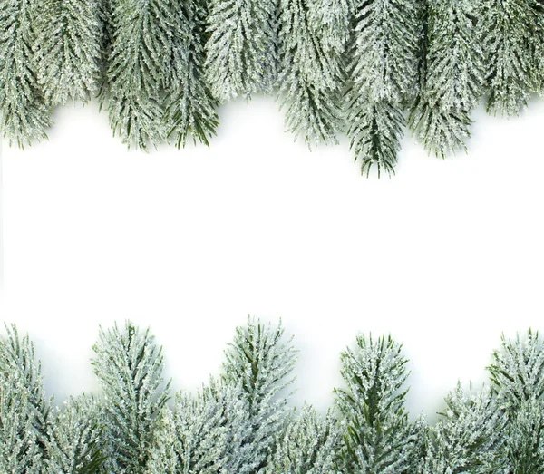 Christmas border frame of green fir branch on white background — Stock Photo, Image