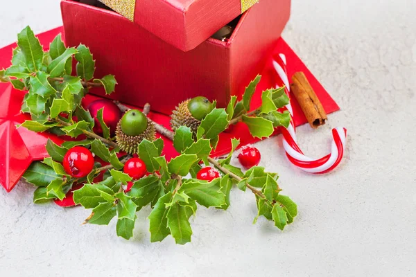 Concepto de Navidad con hojas de acebo de invierno, bayas rojas y regalo —  Fotos de Stock