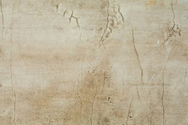 Grijze Verweerde Muur Textuur Oude Achtergrond Met Crack — Stockfoto