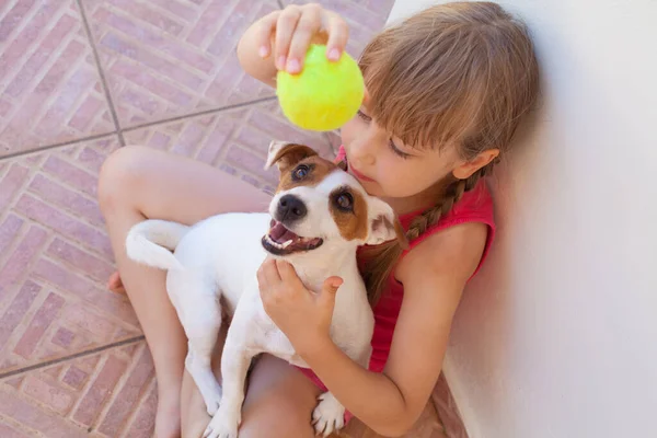 Lycklig Flicka Och Hund Leker Med Bollen Tillsammans — Stockfoto