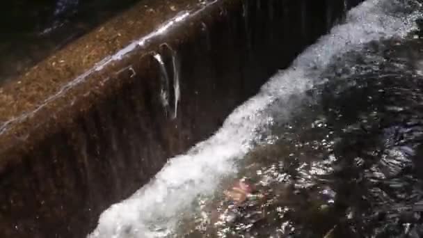 Wasserfall Bach Bach Fluss Bach Fließendes Wasser — Stockvideo