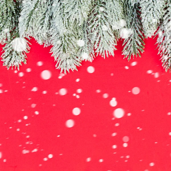 Rote Weihnachtskarte Hintergrund Mit Schnee Und Weihnachtsbaum Zweig — Stockfoto