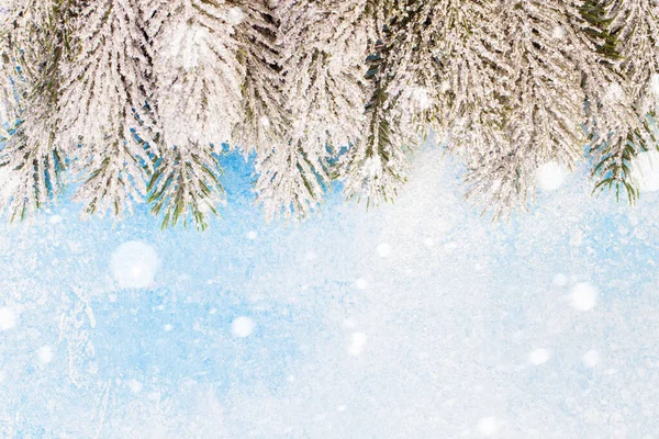 Vánoční Hranice Mrazem Sníh Vánoční Jedle Větve Modrém Pozadí — Stock fotografie