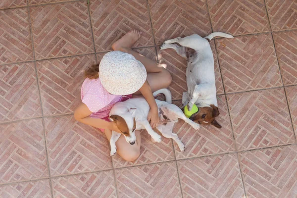 Barn Och Hund Leker Tillsammans Ovanifrån — Stockfoto