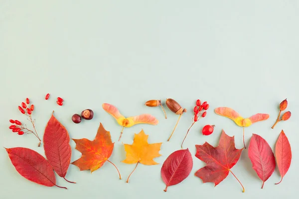 Autumn border composition with red fall maple leaves, nuts and berries on gray background