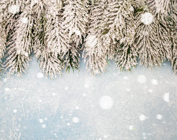 Vinter Gran Och Snö Jul Bakgrund — Stockfoto