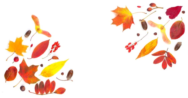 Borda Composição Queda Com Folhas Outono Isoladas Branco — Fotografia de Stock