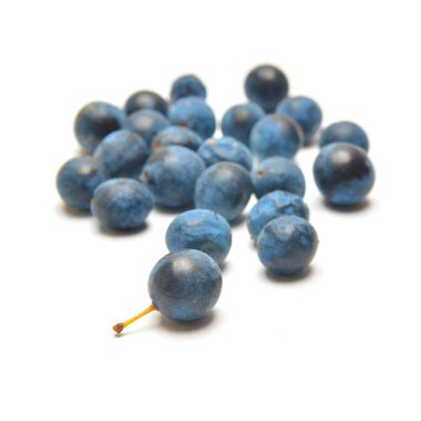 prunus spinosa çilek karaçalı veya yaban eriği olarak bilinen