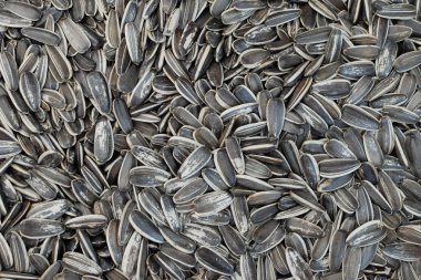 Gövde tuzlu Aperatif yiyecek arka plan ayçiçeği tohumu.