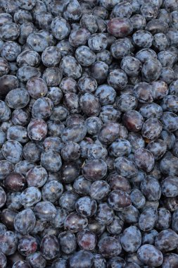 Organik Kuru erik erik organik meyve yemek arka plan.