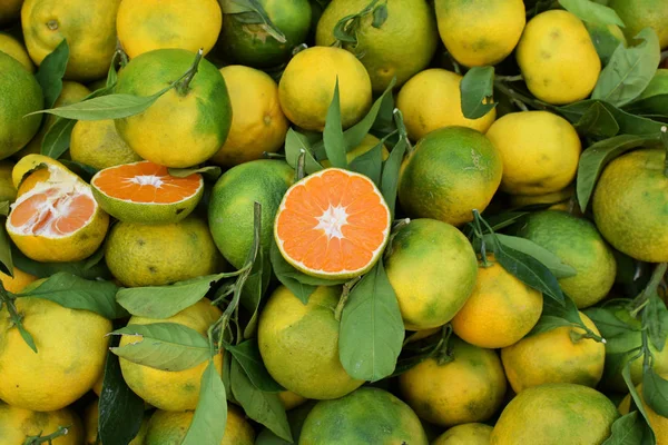 Appelsiinit Mandariinit Kasa Tuoreita Sitrushedelmiä — kuvapankkivalokuva