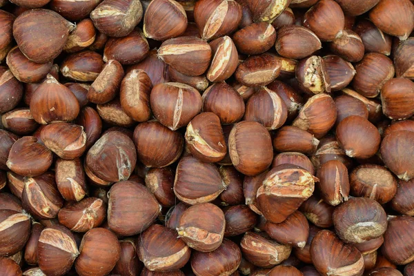 Taze kestane yenilebilir mutfak fındık gıda arka plan snack.