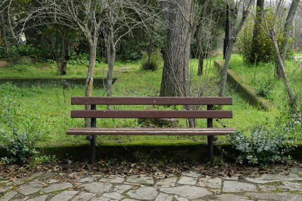 有植物和树木的公共公园的木长凳 — 图库照片