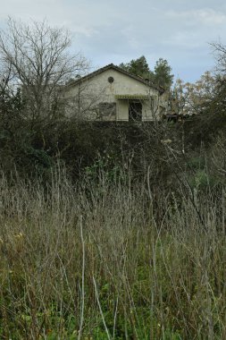 Ormanda terk edilmiş eski bir ev.