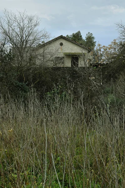 Ormanda terk edilmiş eski bir ev.