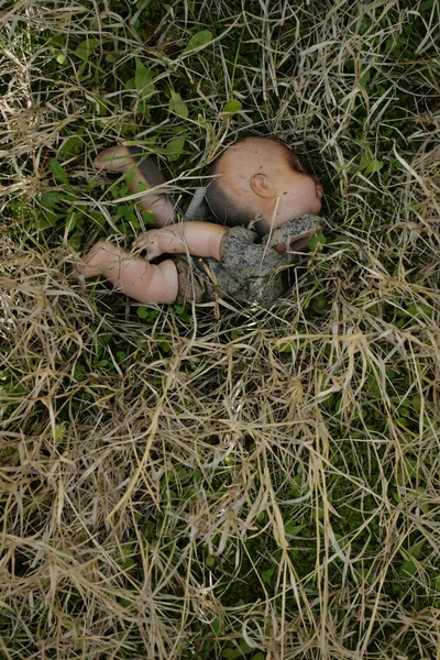 Oude verweerde pop op gras — Stockfoto