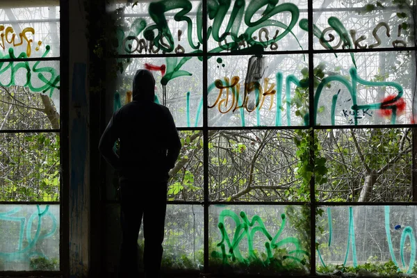 Mann Sieht Überwucherte Pflanzen Durch Zerbrochene Mit Spray Bemalte Fenster — Stockfoto