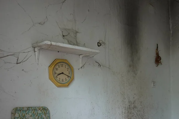 Horloge Cobwebbed Herbes Séchées Sur Mur Moisi Intérieur Maison Abandonnée — Photo