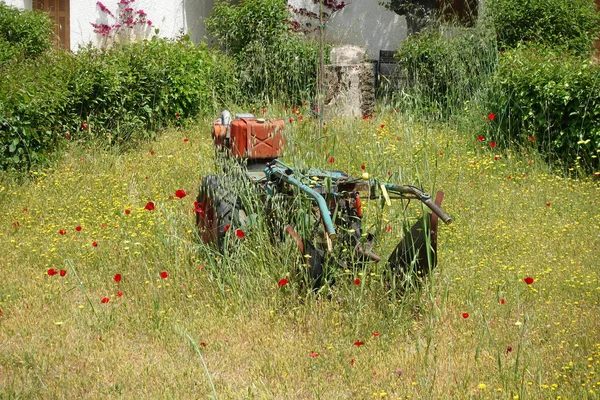 播种机耕作园艺设备和春花 — 图库照片