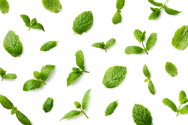 Pattern Mint Leaves Isolated White Background Top View — Stock Photo, Image