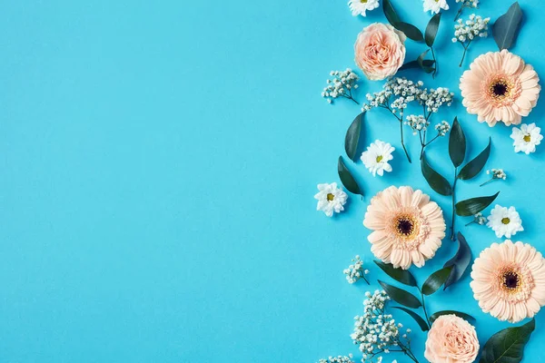 青の背景に美しいピンクと白の花の構図 — ストック写真