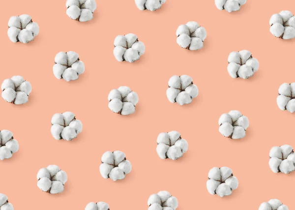 Padrão de flores de algodão no fundo pastel laranja — Fotografia de Stock