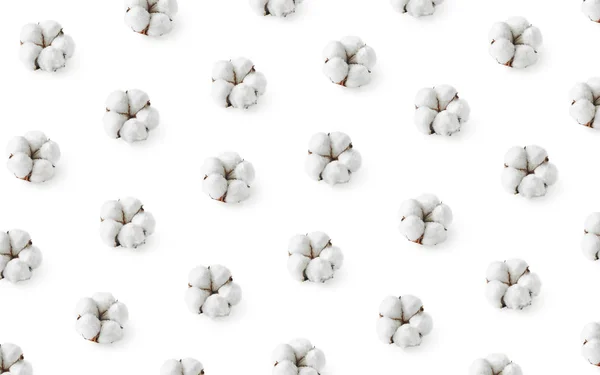 Mintázat a pamut virágok izolált fehér háttér — Stock Fotó