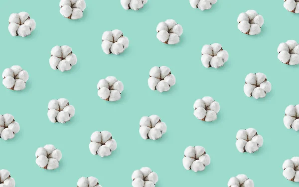 Padrão de flores de algodão no fundo pastel azul — Fotografia de Stock