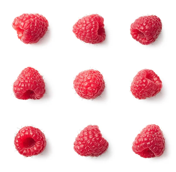 Set of various raspberries isolated on white background Royalty Free Stock Images