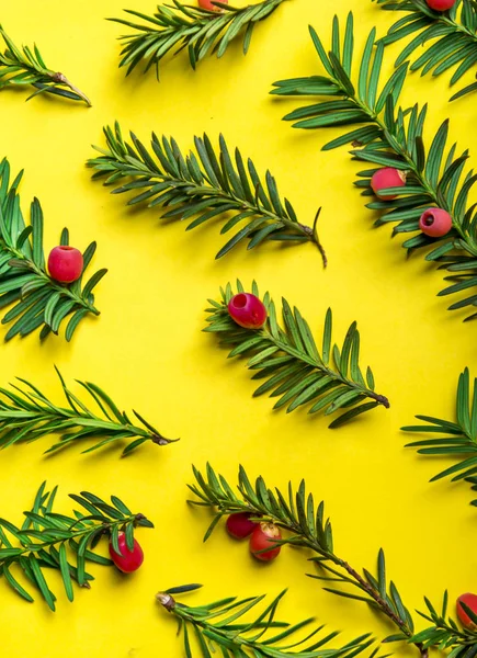 圣诞节假期模式背景 圣诞树与红色装饰在柔和的黄色背景 顶部视图 圣诞快乐 新年快乐2019 — 图库照片