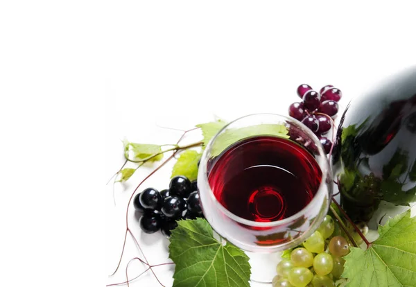 赤ワインと白背景に分離されたブドウのつるとボトルのガラスの平面図です ボーダー デザインのバナーのワインテイスティング ワイン アート ショップ ワイナリーのコンセプト — ストック写真