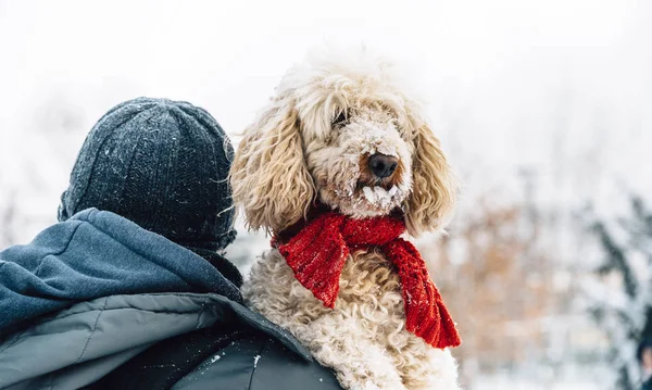 Gelukkig Huisdier Zijn Eigenaar Plezier Sneeuw Winter Vakantieseizoen Winter Vakantie — Stockfoto