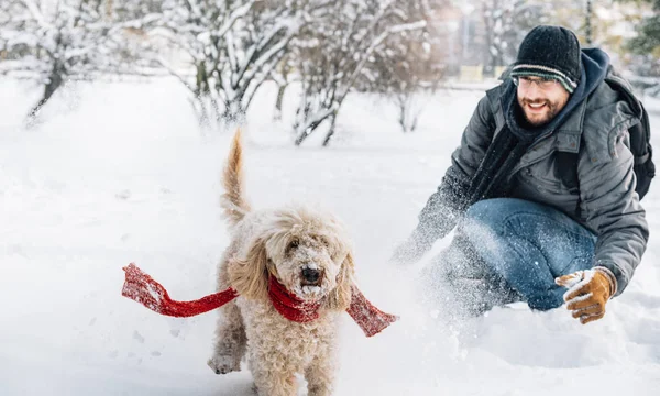 雪球在雪地里与宠物和他的主人打闹 寒假情绪 可爱的水坑狗和人在森林里玩耍和奔跑 薄膜滤镜图像 — 图库照片