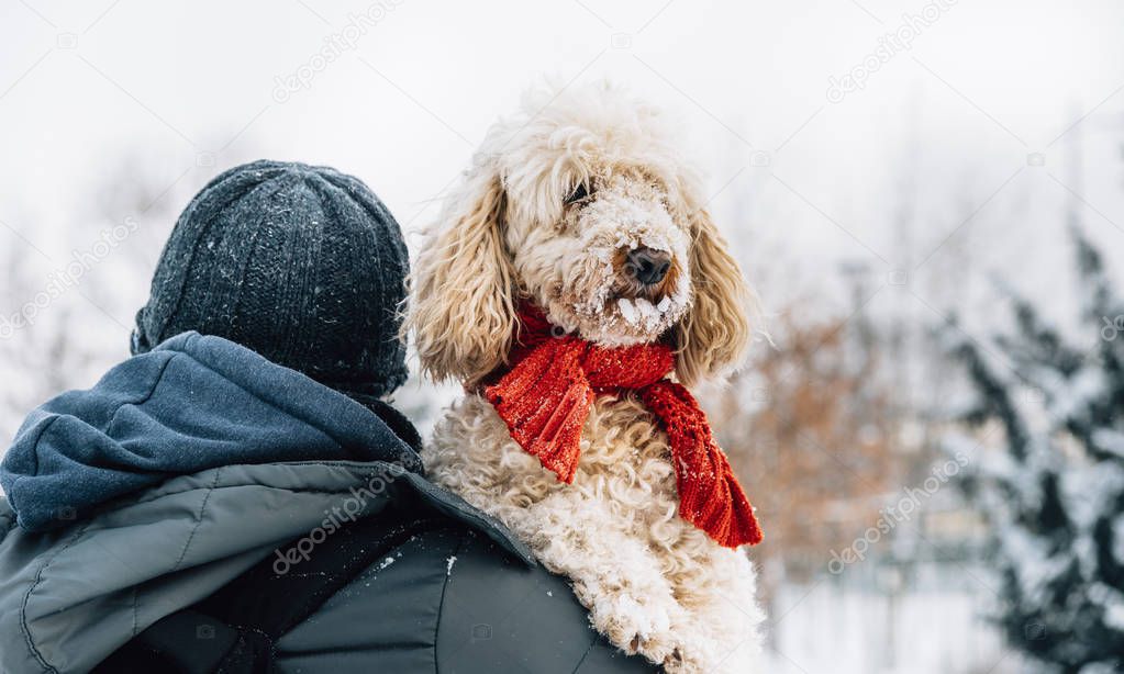 Happy pet and his owner having fun in the snow in winter holiday season. Winter holiday emotion. Man holding cute puddle dog with red scarf. Film filter image.