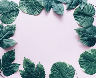 Koyu yeşil yaprakları çerçevesinin üzerine pastel pembe yukarıdan. Popüler sosyal medya minimal arka plan doğa yeşillik kenarlıklı. Üstten görünüm. Moda ve güzellik için kız gibi modern ve temiz afiş.
