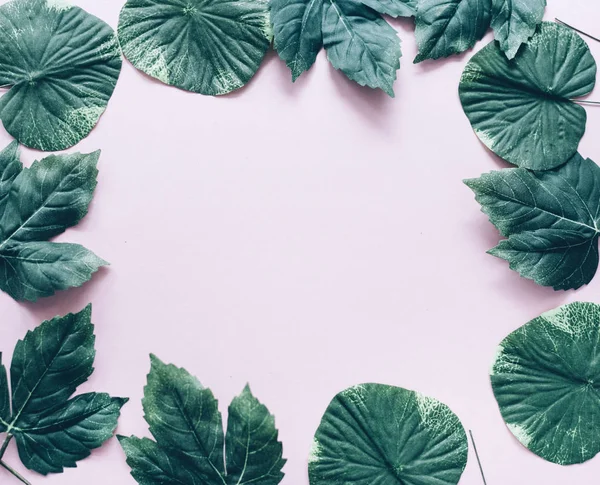 Koyu Yeşil Yaprakları Çerçevesinin Üzerine Pastel Pembe Yukarıdan Popüler Sosyal — Stok fotoğraf