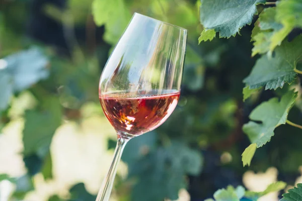 Weinverkostung im Freien Weingut. — Stockfoto